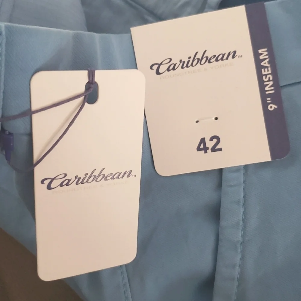 Preppy Resort Shorts 42 Blue Men Flat Front Travel Golf Cruise Modern New